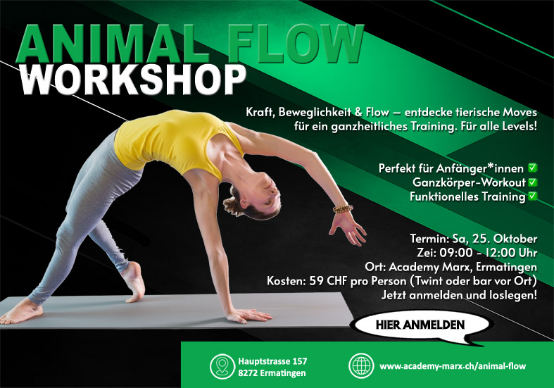 Animal-Flow-Workshop
