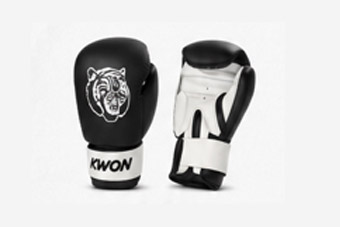 Kickboxen Boxhandschuhe - CHF 52.20